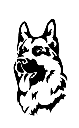 Вівчарка 1